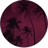 Image posted by the member