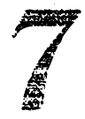 Image posted by the member