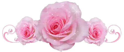 Image posted by the member