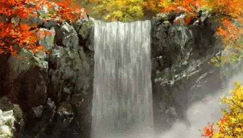 Image posted by the member