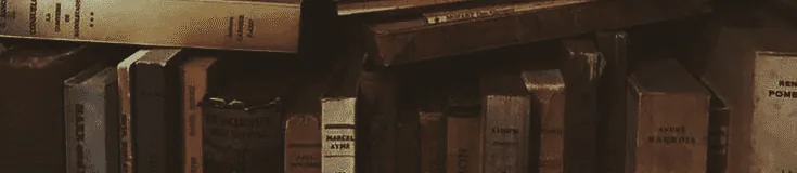 Image posted by the member