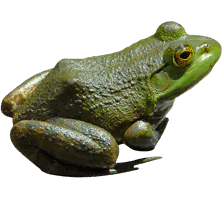 Image posted by the member