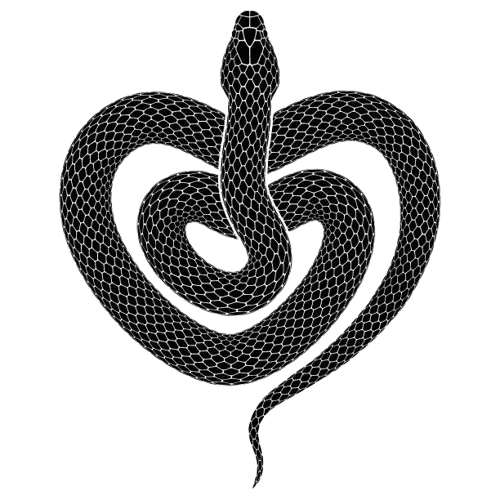 Image posted by the member