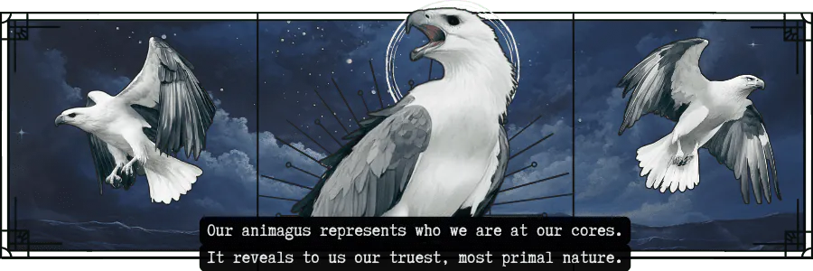 Image posted by the member