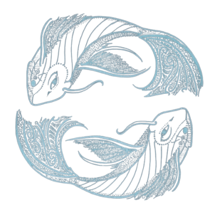 Image posted by the member