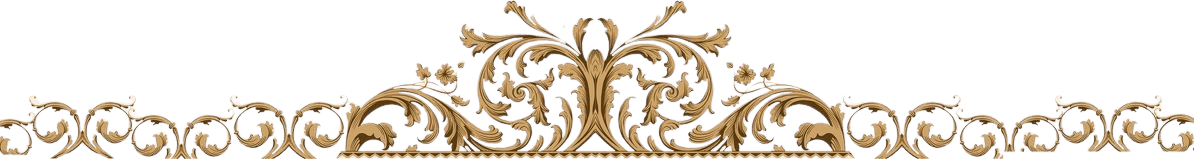 Image posted by the member