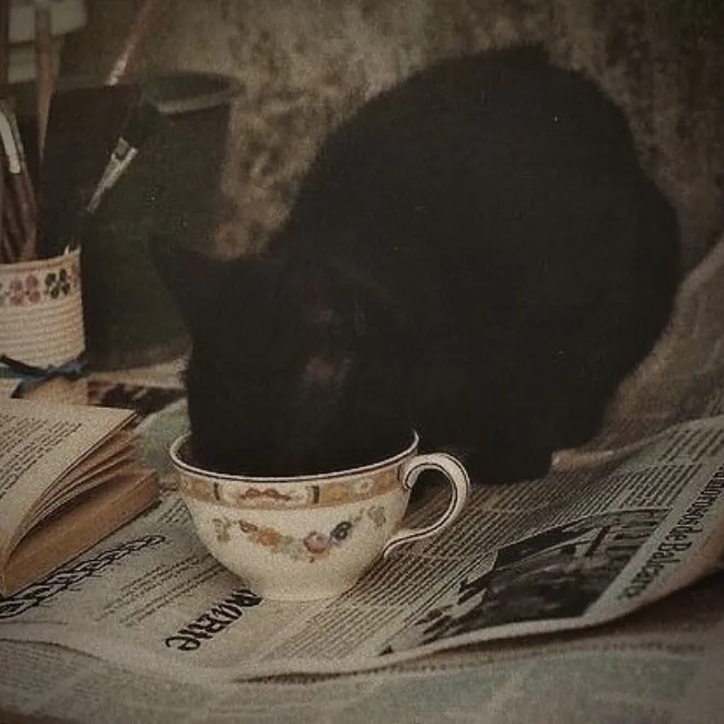 cat drinking from a tea cup