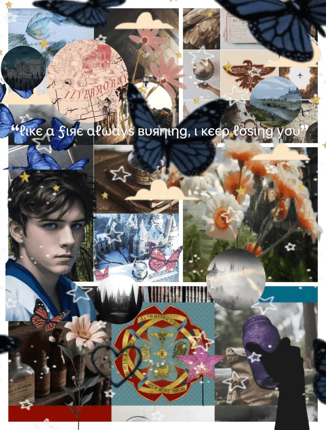 Image posted by the member