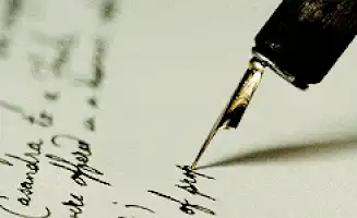 Image posted by the member
