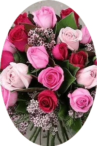 Image posted by the member