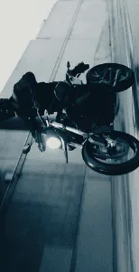 Image posted by the member