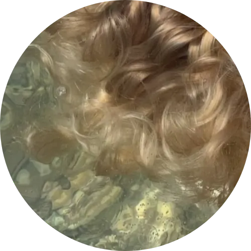 Image posted by the member
