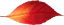 Image posted by the member