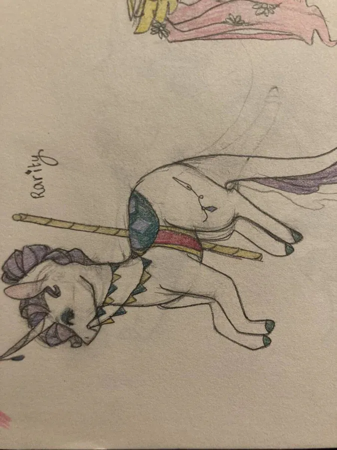 Image posted by the member