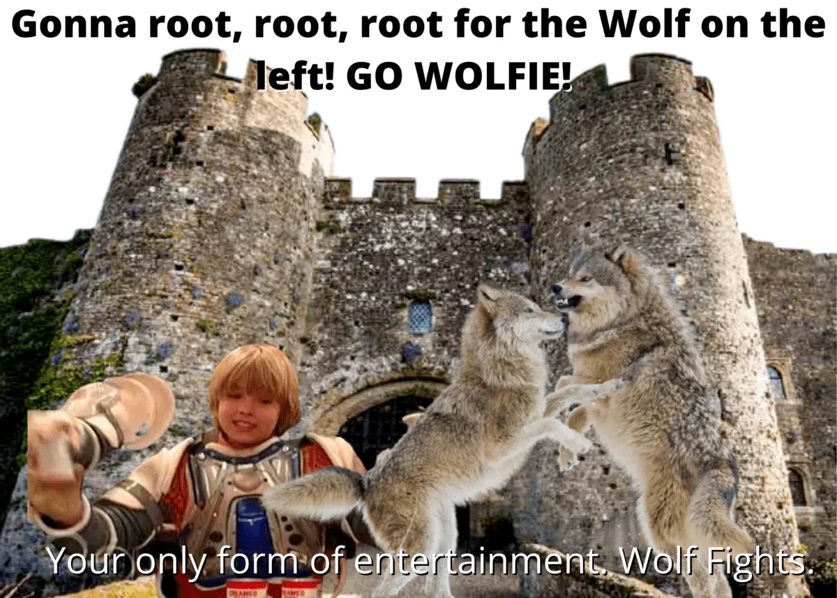 Image posted by the member