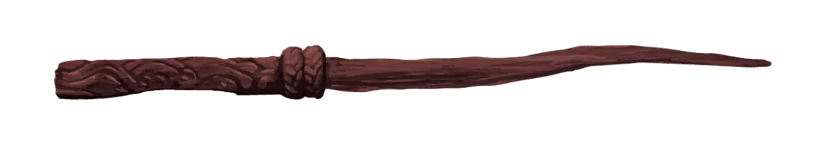 Image posted by the member