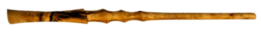 Image posted by the member