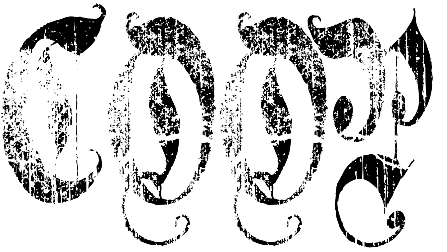 Image posted by the member