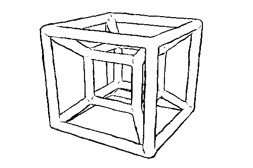 Image posted by the member