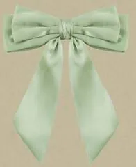 Image posted by the member