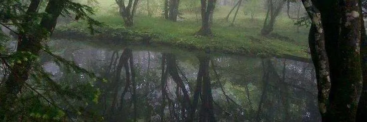 Image posted by the member