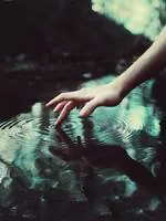Image posted by the member