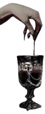 Image posted by the member