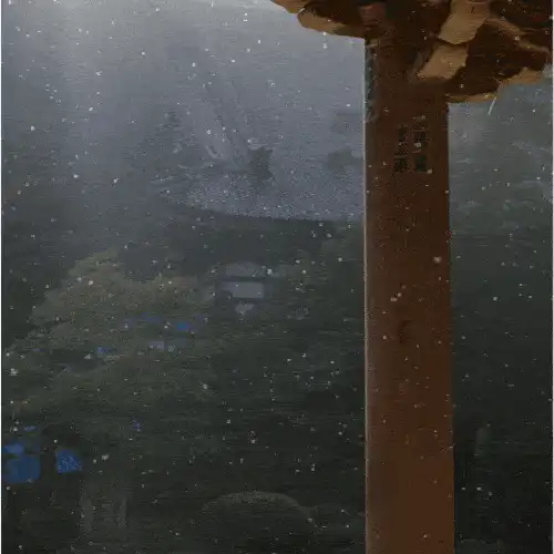 Image posted by the member