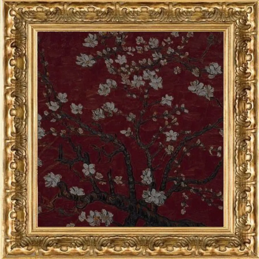 Image posted by the member