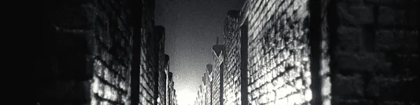 Image posted by the member