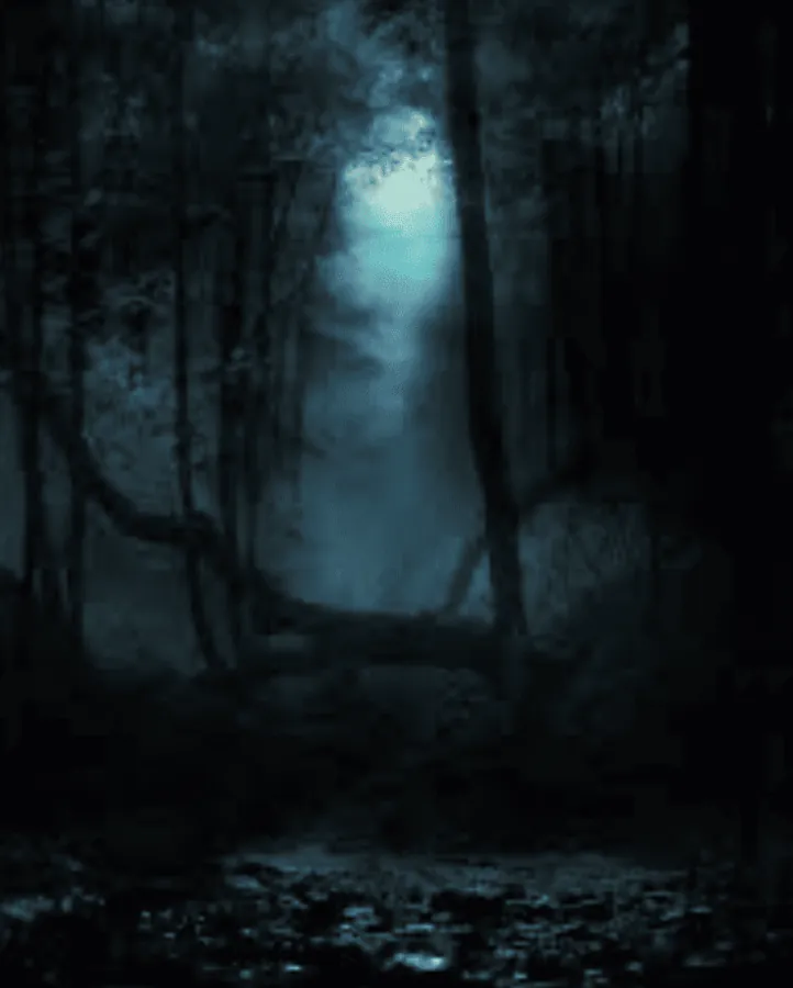 Image posted by the member