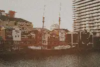 Image posted by the member