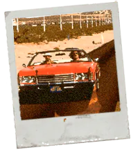 Image posted by the member