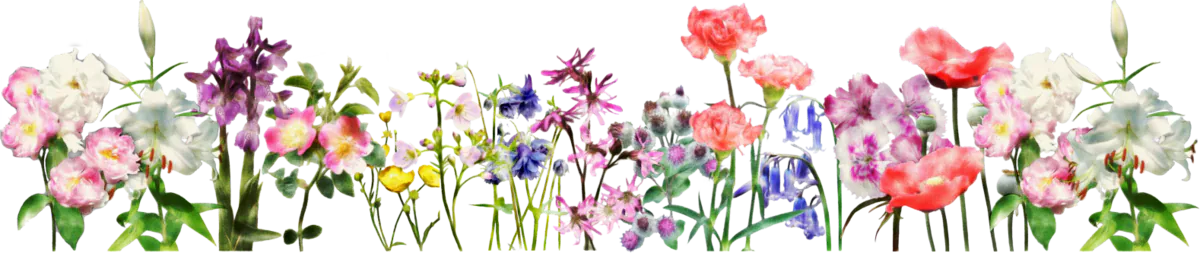 Image posted by the member