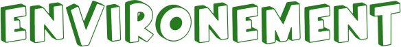 Image posted by the member