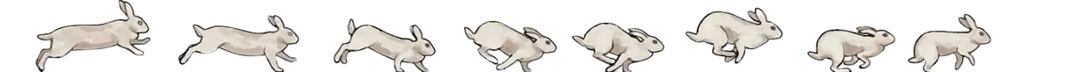 Image posted by the member