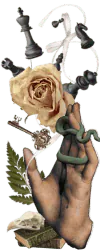 Image posted by the member