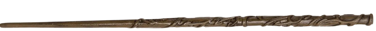 Image posted by the member