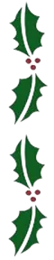 Holly border
