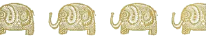 Image posted by the member