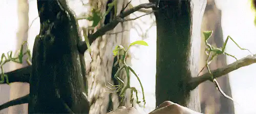 Image posted by the member