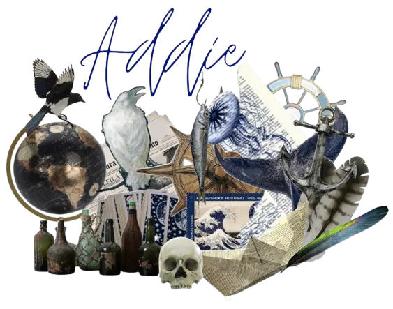 Image posted by the member
