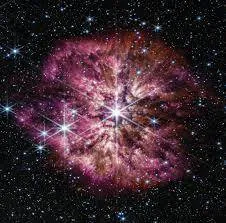 Image posted by the member