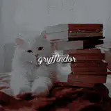 Image posted by the member