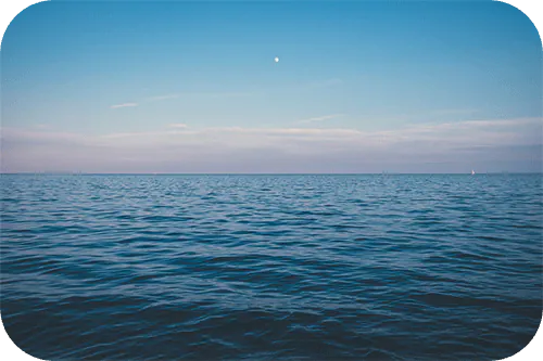 Image posted by the member