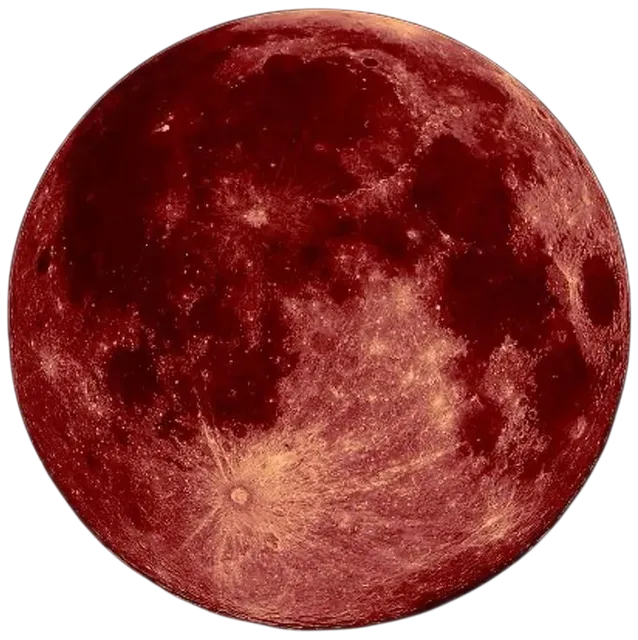 Image posted by the member