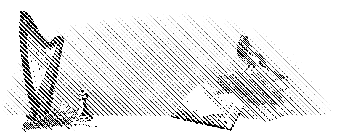Image posted by the member