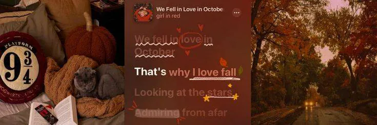 Image posted by the member