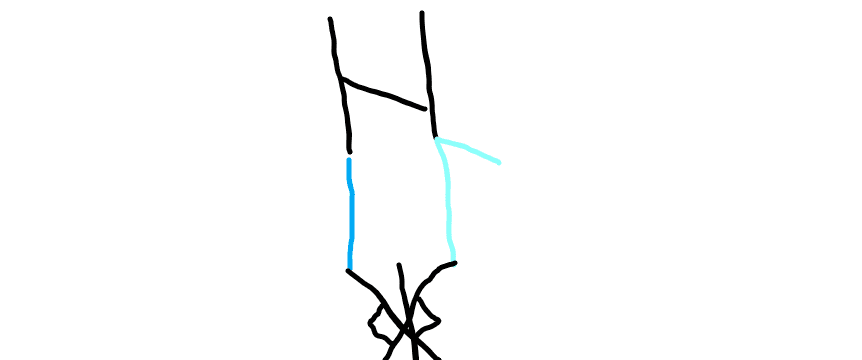 Image posted by the member