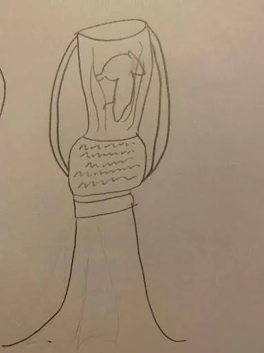 Image posted by the member